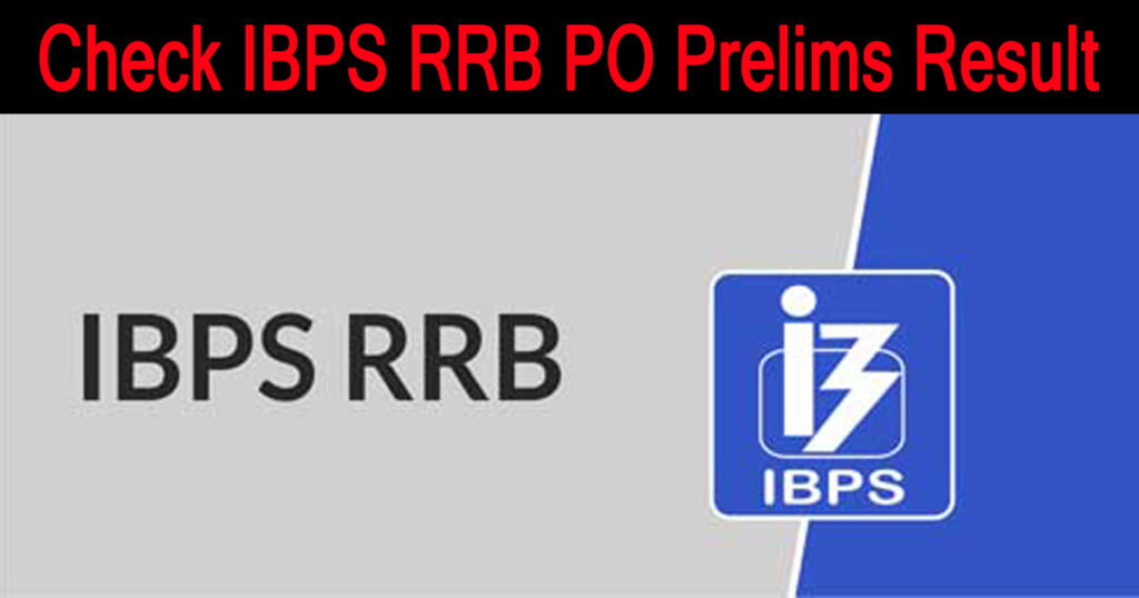 IBPS RRB PO Prelims Result Declared: How to check the Result