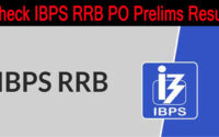 IBPS RRB PO Prelims Result Declared: How to check the Result