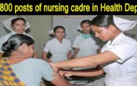 Job in Health Department: 2800 posts of nursing cadre